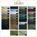 Cavalio